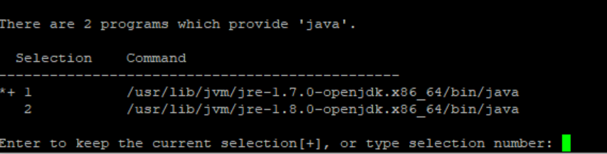 java8